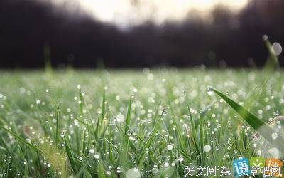 关于彼岸花开的优美句子