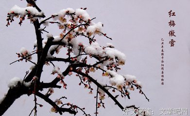 雪中的句子
