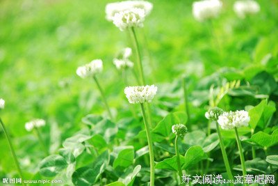 了大就物小样于格小草名人名言