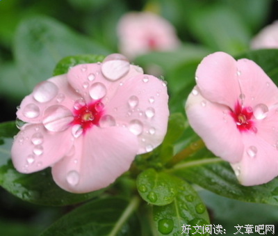 有关象开着小是象开着小是经典句子