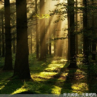 最全的《岁月间》名句欣赏