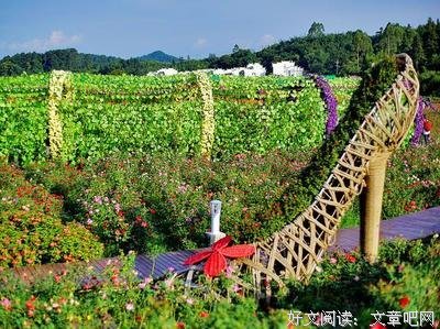 最经典的《恶之花》名句欣赏