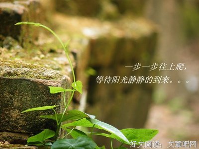 最经典的《时光录》经典的句子大全