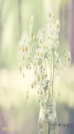 最新的《浮士德》经典的句子
