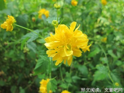 “求求你，别再说是为了我”：学会“自私”，家庭才能幸福