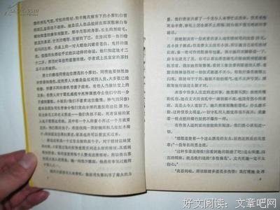 《红牡丹》小说书摘