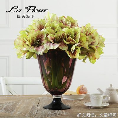 最经典的《花解语》经典语录大全