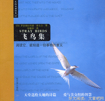 《飞鸟集》经典名句