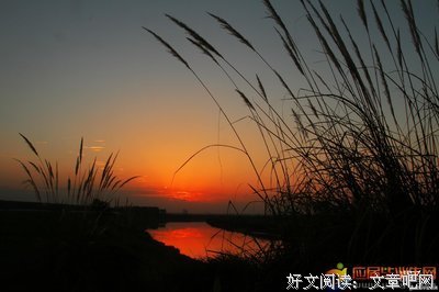 美文句子