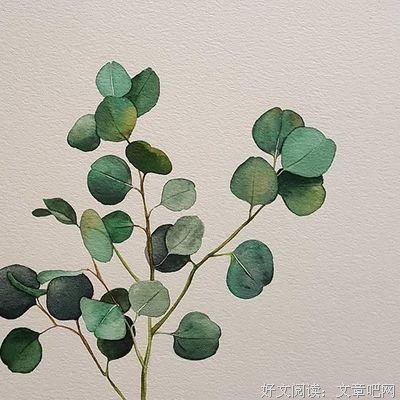关于收藏的句子