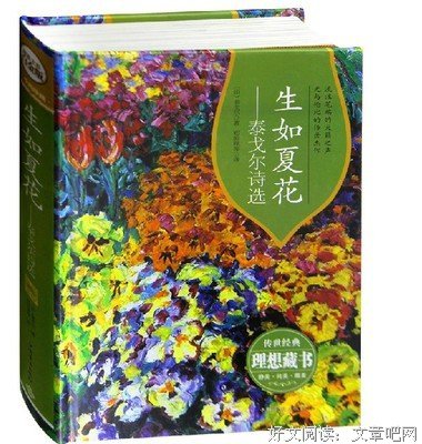 关于生如夏花的优美句子