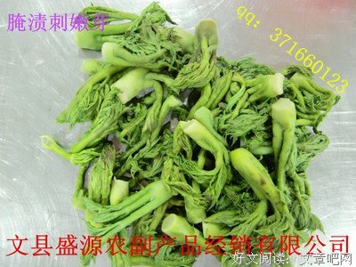 关于刺嫩芽名言大全