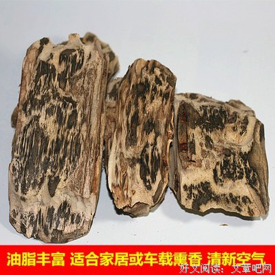 最新的香农·柯克名言