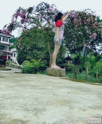 关于周冲精彩语录