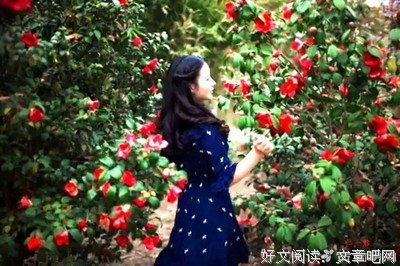 最新的董卿经典句子