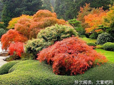 最全的《一世之尊》经典语录