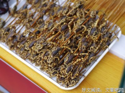最全的《一九八四》小说摘抄大全