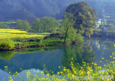 《世有桃花》好段摘抄大全