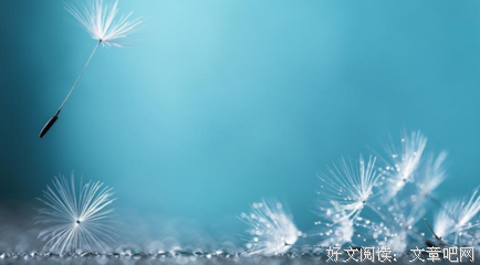 哪有人喜欢孤独，只不过是害怕失望罢了