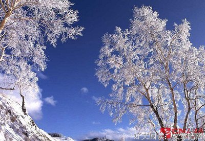 最新的《似水流年》经典名句