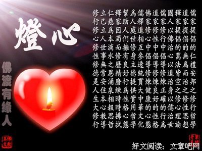 最新的《善待命运》好段摘抄