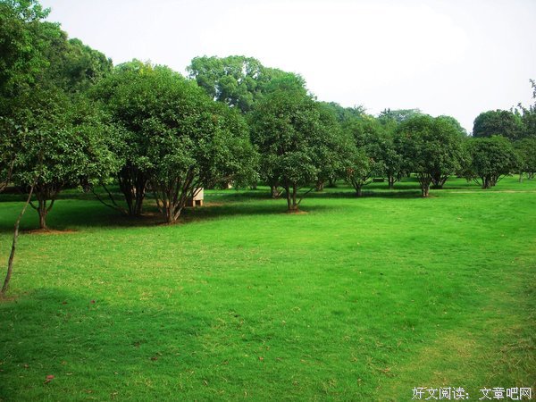 绿草如茵的名人名言