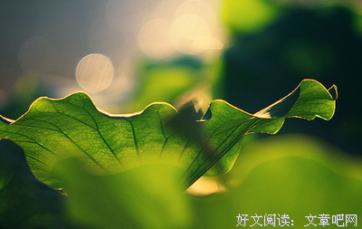 关于常思的格言