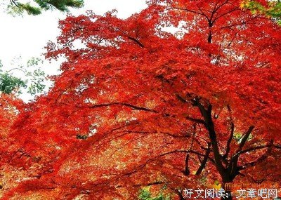 稚气未脱的句子