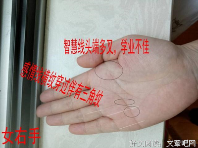 婚姻里，感情为什么越来越淡了？（真相戳心了）