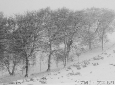 雪肆虐的句子