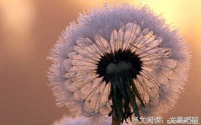 名～的优美句子