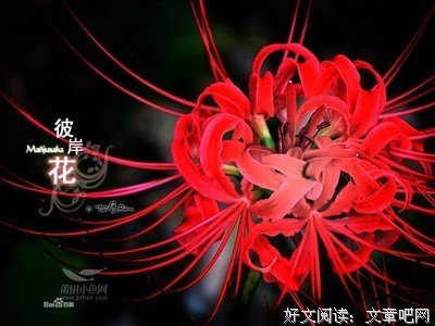你有什么过了很久依然不能释怀的事情吗？