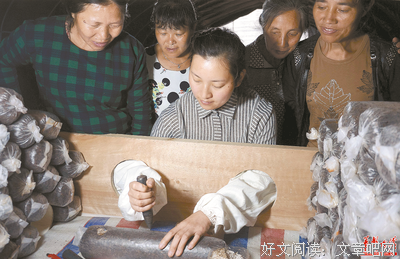 宁远的格言