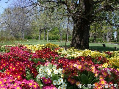 岑参15句经典名言