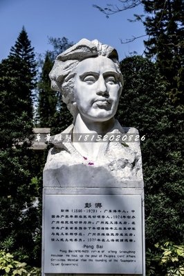 关于彭湃的名言