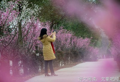 2018晚情名言