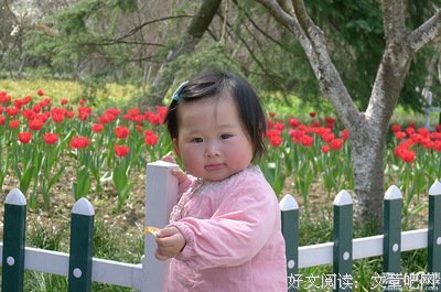 最新的果果精彩语录