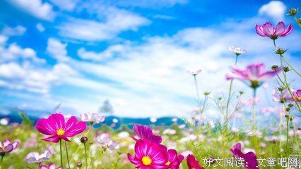 最全的《山水之间》经典句子