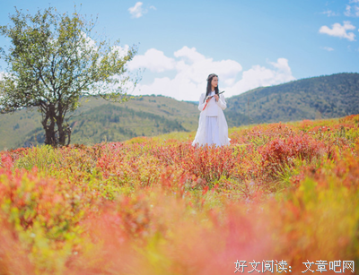 最经典的《幸福了吗》小说句子