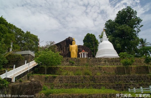 最新的《强风吹拂》名句欣赏