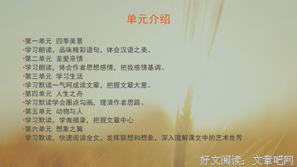 最全的《悠久之翼》经典句子大全