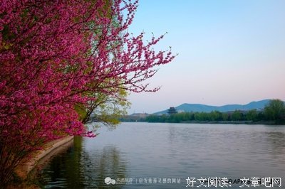 柳绿无诗意，桃红少赋情。（原创）