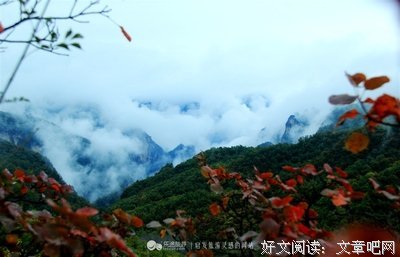 《我不成仙》佳句摘抄大全