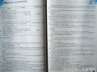 最经典的《我的皇后》经典名句