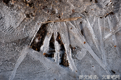 心理学家：正念冥想是化解孤独感的一剂“良药”