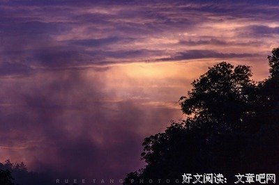 最全的《灿烂千阳》好段摘抄