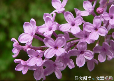 有关善男信女的美句摘抄