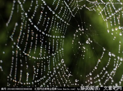 关于糟糟的语句