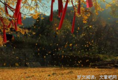 风句子大全
