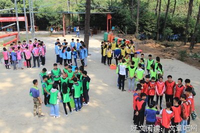 大学生的崩溃，是从「分组作业」开始的